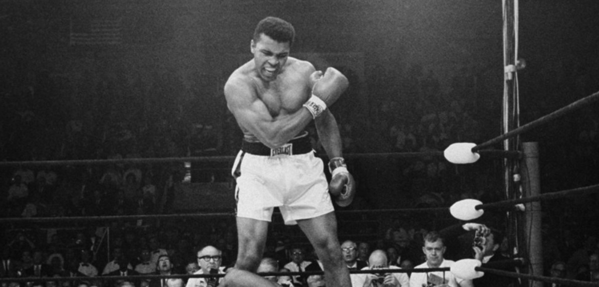 boxing comeback kings
