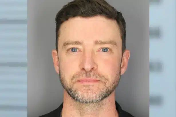 "One Martini" Too Many? Details Emerge in Justin Timberlake DUI Arrest