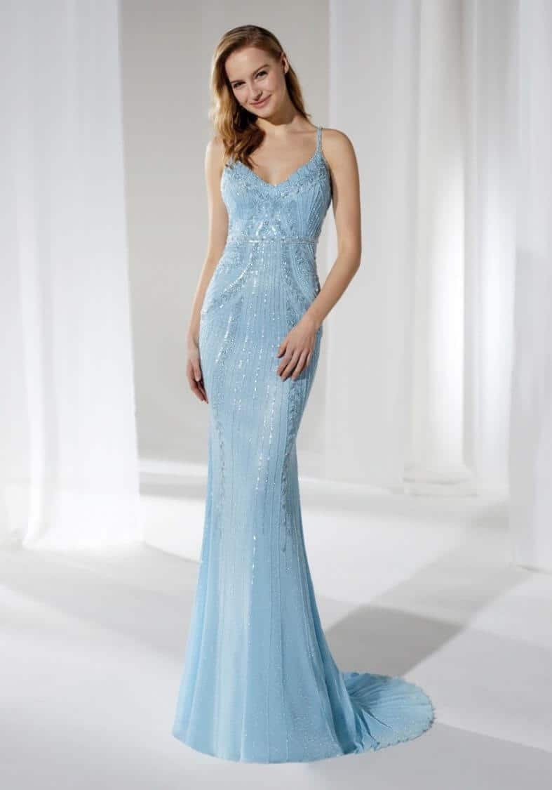 The Baby Blue Embellished Gown