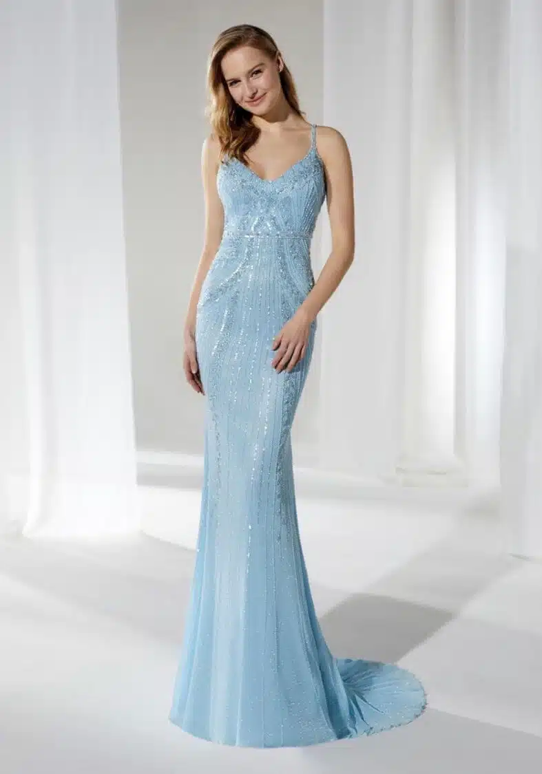 The Baby Blue Embellished Gown