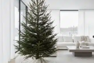 Christmas Why Stars Skip Ornaments