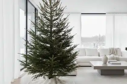 Christmas Why Stars Skip Ornaments