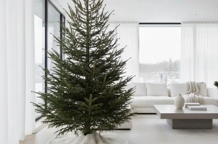 Christmas Why Stars Skip Ornaments